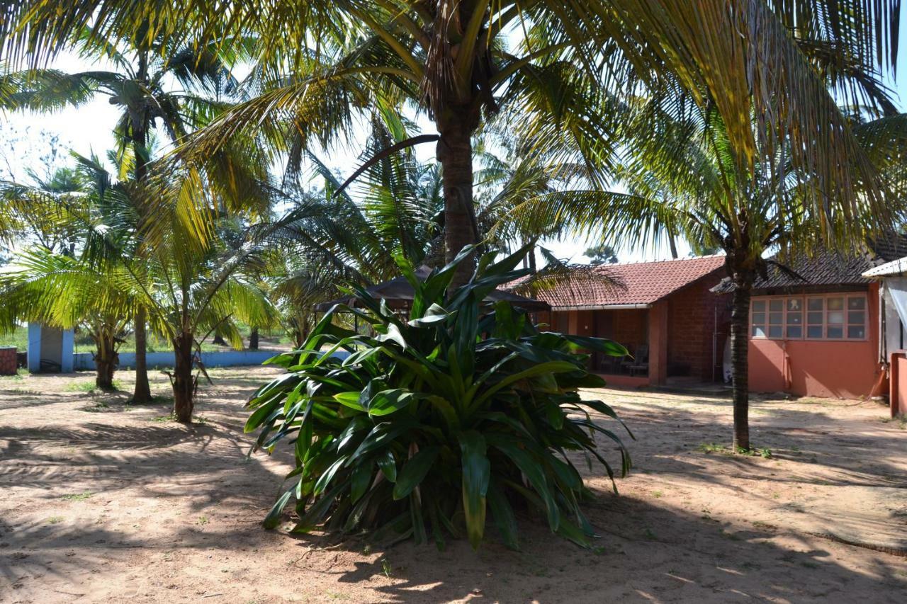 O Camarao Hotel Calangute Buitenkant foto