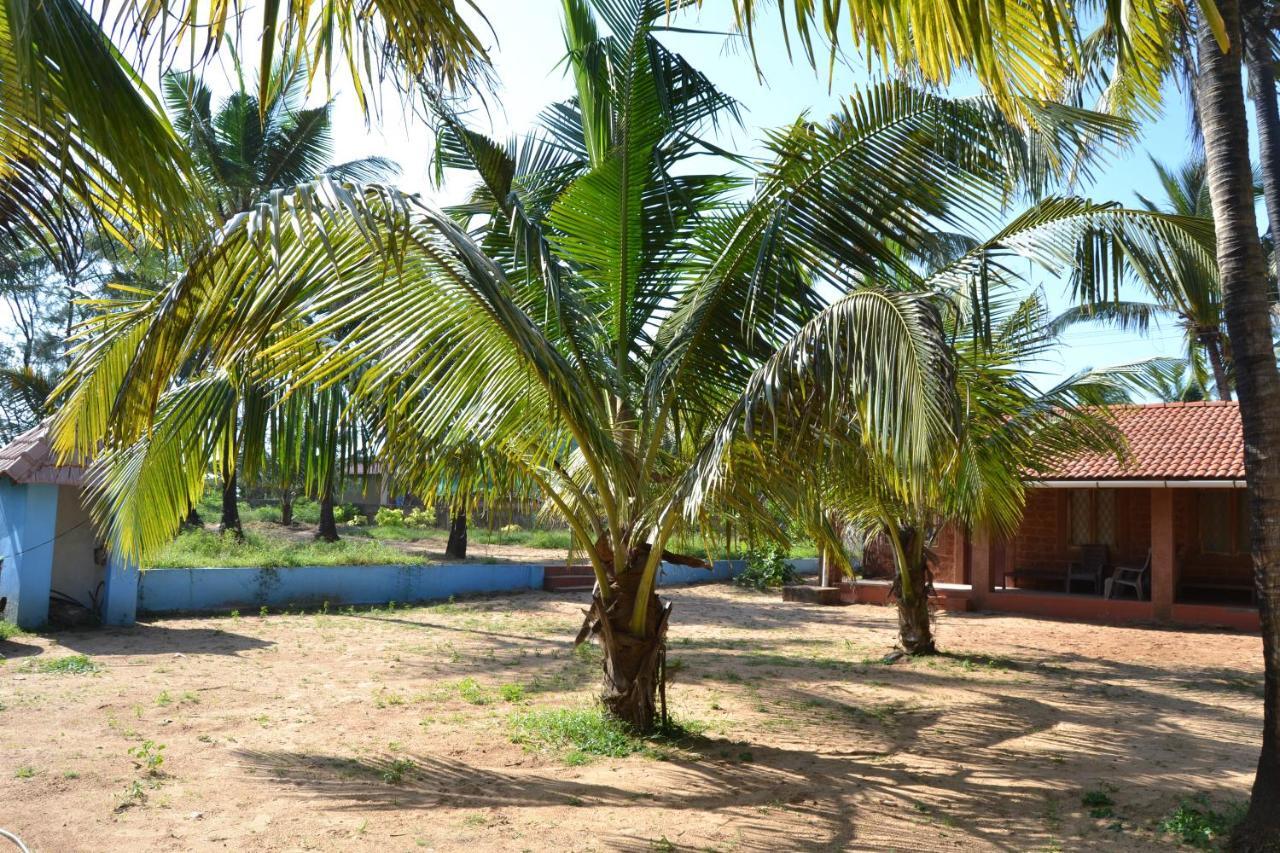 O Camarao Hotel Calangute Buitenkant foto